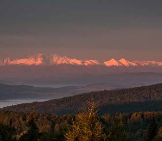 Ośnieżone szczyty Tatr z Jaworzyny Krynickiej. Te zdjęcia robią wrażenie