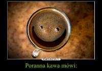 Memy O Kawie Naszemiasto Pl