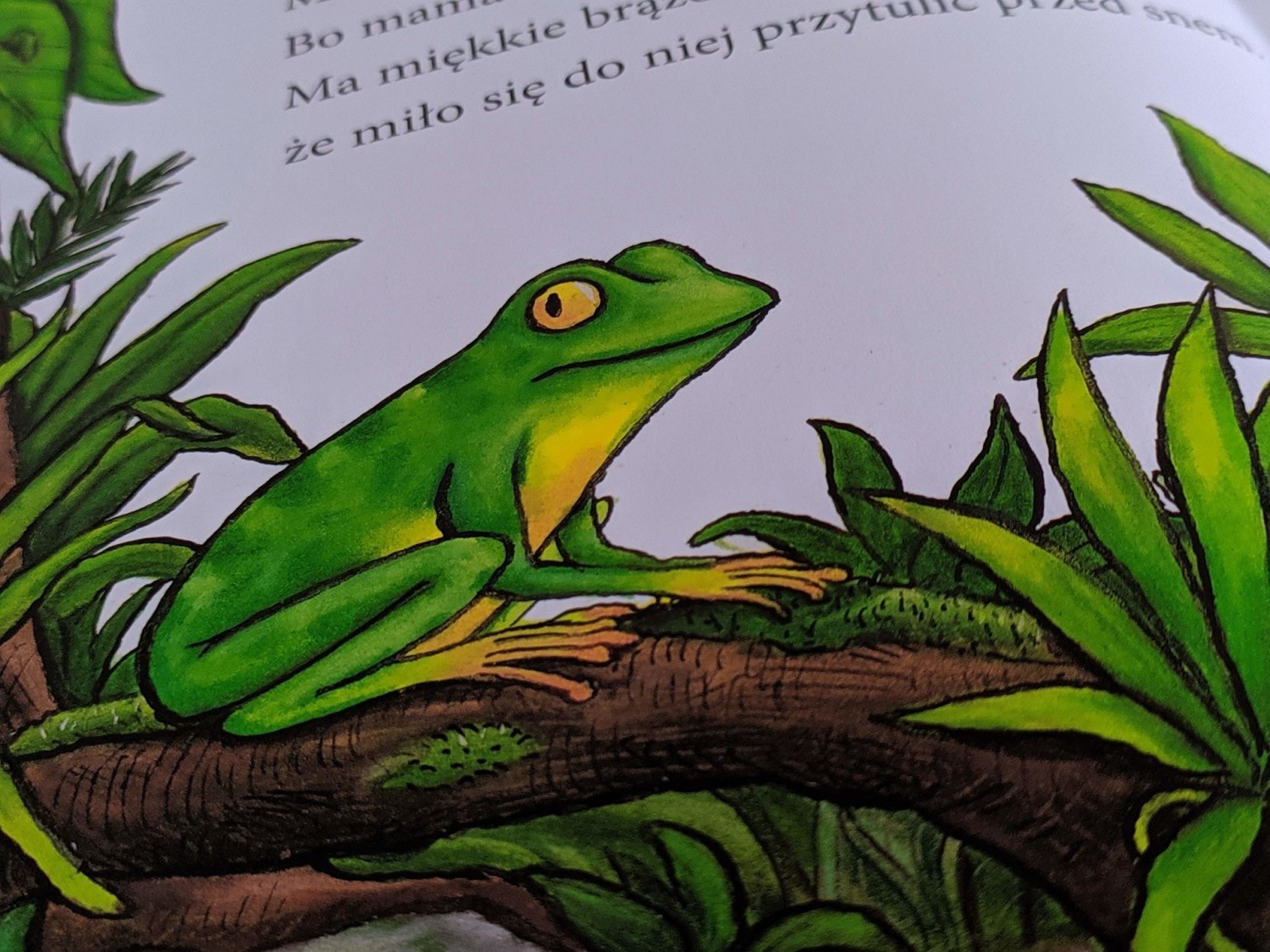"Zagubiona małpka" podbija serca najmłodszych