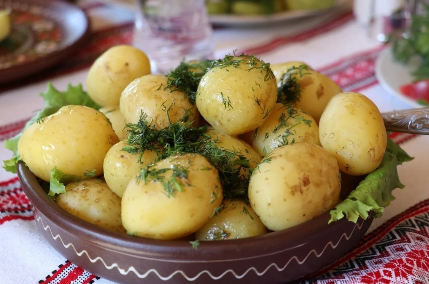 Mateusz Morawiecki zapowiedział, że bon gastronomiczny będzie działał podobnie jak wprowadzony w wakacje 2020 roku Polski Bon Turystyczny