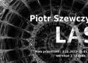 Katowickie BWA zaprasza na wernisaż wystawy Piotra Szewczyka pt. „Las". Ile można wydobyć z drewna?