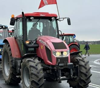 Wielkopolska Rada Rolnicza zajęła stanowisko w sprawie strajków rolników