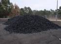 Mogilno - Oszustwo przy zakupie węgla w powiecie mogileńskim. 31-latka straciła pieniądze