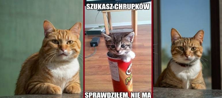 Zdjęcie artykułu z dnia 19-03-2026