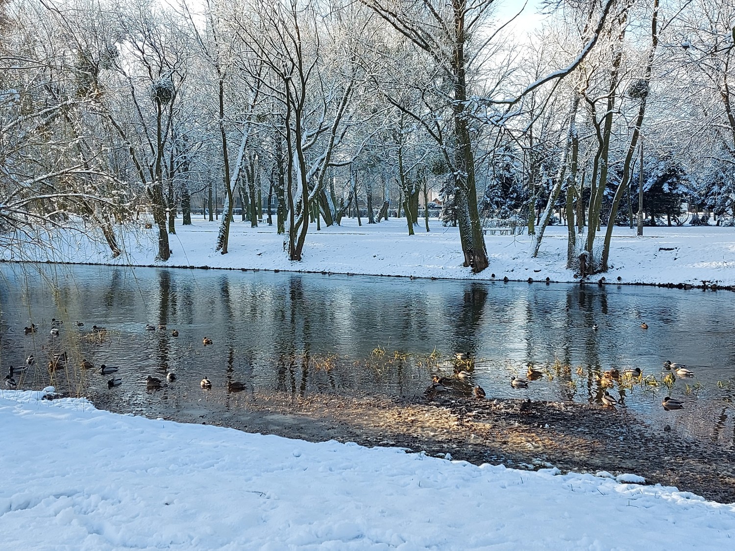 Brodnica 13 stycznia 2021 r
