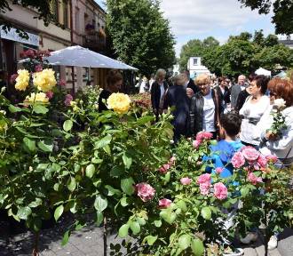 Festiwal Róż w Łasku. Święto kwiatów w weekend 2 i 3 lipca. Program
