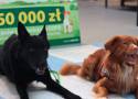 150 tys. złotych dla psich ratowników z GOPR! Podsumowanie akcji "Przyjaźń Łączy - Wspólnie dla Zwierząt"