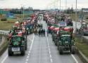 Kolejna fala protestów w Lubuskiem! Będzie zablokowana A2 i przejście graniczne w Świecku. Jak dojedziemy do Niemiec?