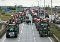 Kolejna fala protestów w Lubuskiem! Będą gigantyczne utrudnienia na granicy i na A2