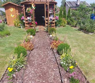 Piękne ogródki naszych Czytelników. Zobaczcie zdjęcia!