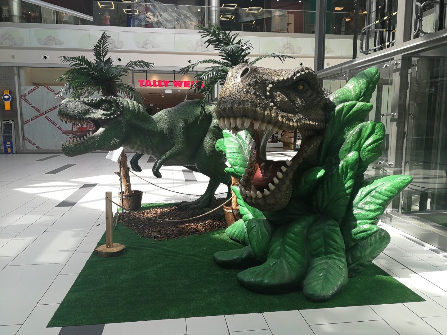 Dinozaury odwiedziły Toruń. Gdzie można je spotkać? Zobacz zdjęcia