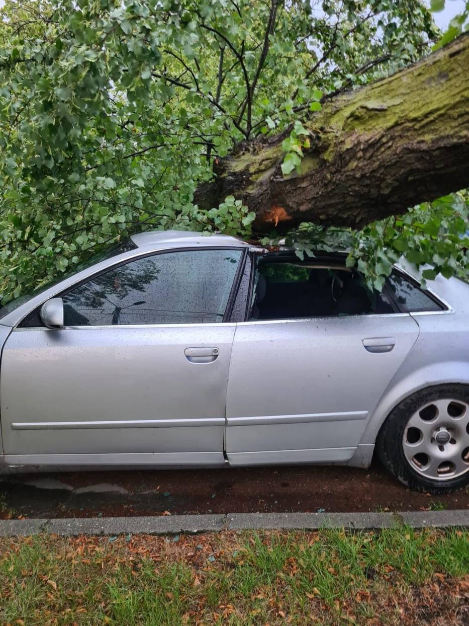 Drzewo runęło na samochód koło Leszna  na przykościelnym parkingu