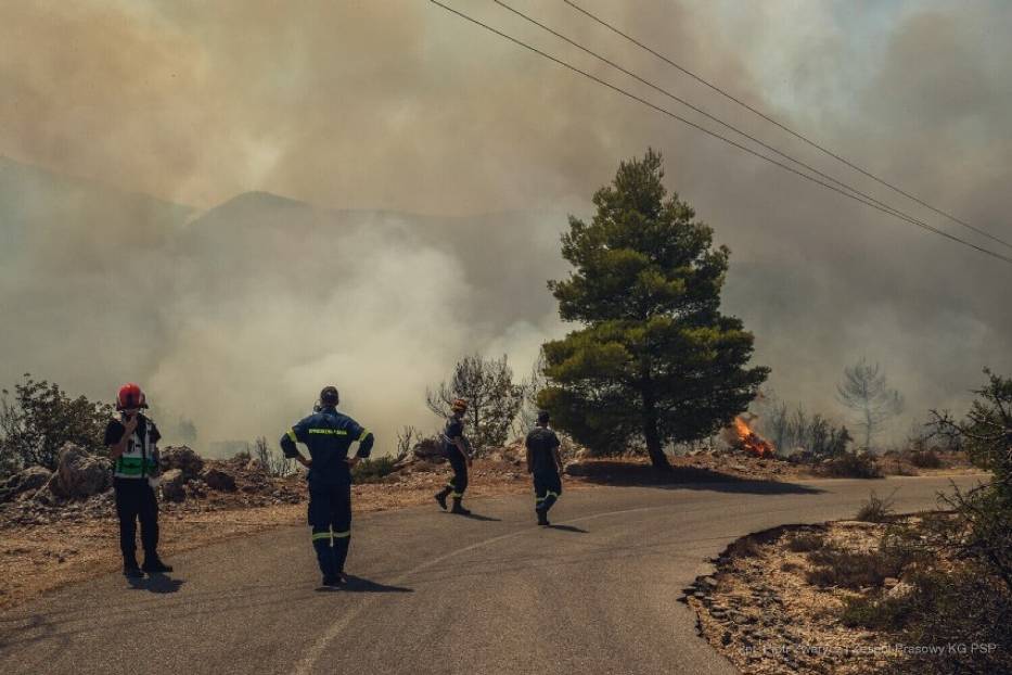 Strażacy z Polski walczyli z ogniem w Grecji