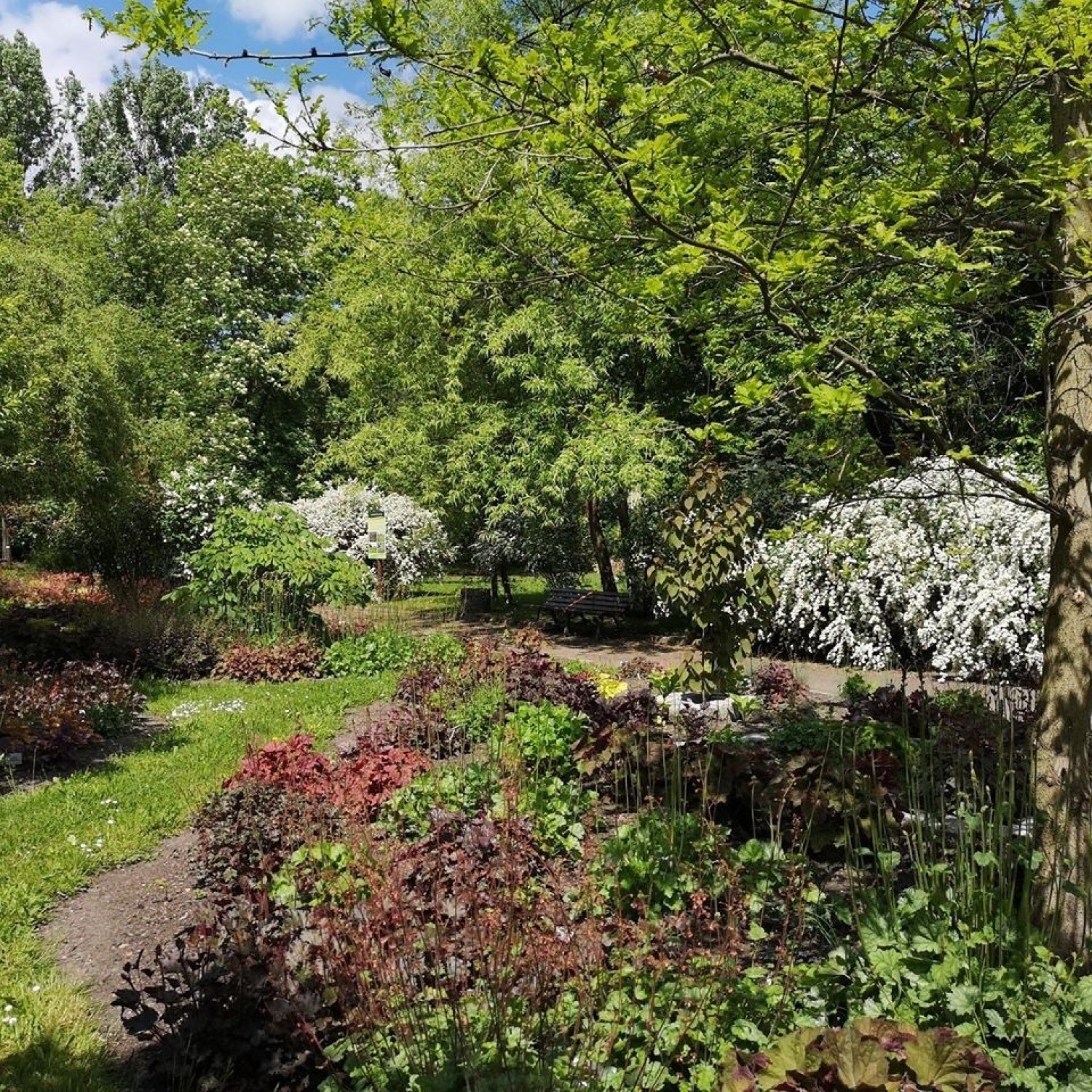 Miejski Ogród Botaniczny otwiera swoje drzwi dla odwiedzającychZobacz kolejne zdjęcia