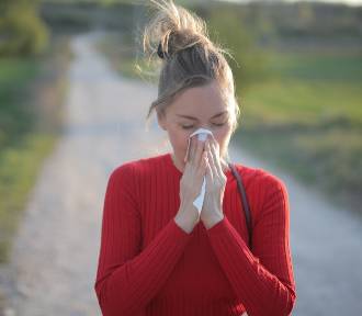 Kurz i pyłki. Nie płacz, tylko sprawdź, jak wygrać trudną walkę z alergią