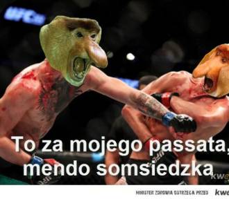 Najlepszy sąsiad... to ten na wakacjach. Oto najlepsze MEMY na Dzień Sąsiada
