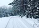 Trasy biegowe na Górze Parkowej w Krynicy to zimowa atrakcja, której chcieli turyści. Wielofunkcyjne trasy MTB mają służyć cały rok