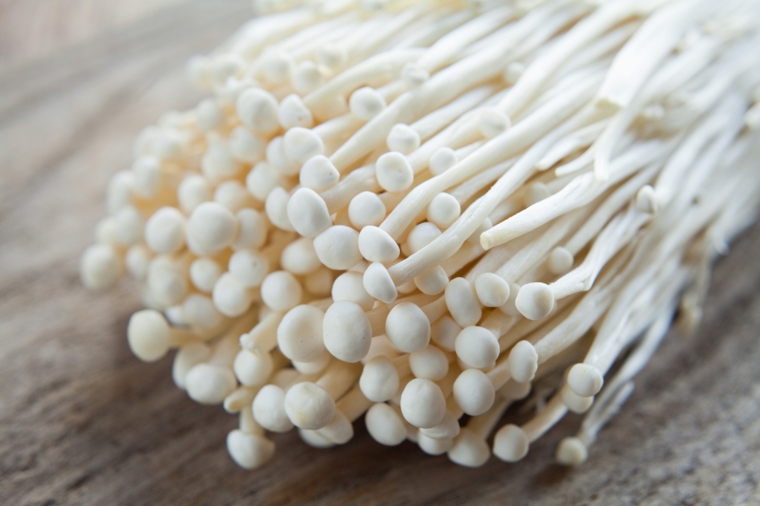 Enoki, czyli Płomiennica zimowaZ długimi łodygami i malutkimi kapeluszami małe grzybki należą do najciekawszych grzybów jadalnych