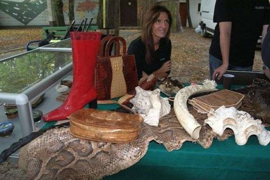 Zoo i celnicy w trosce o zagrożone gatunki