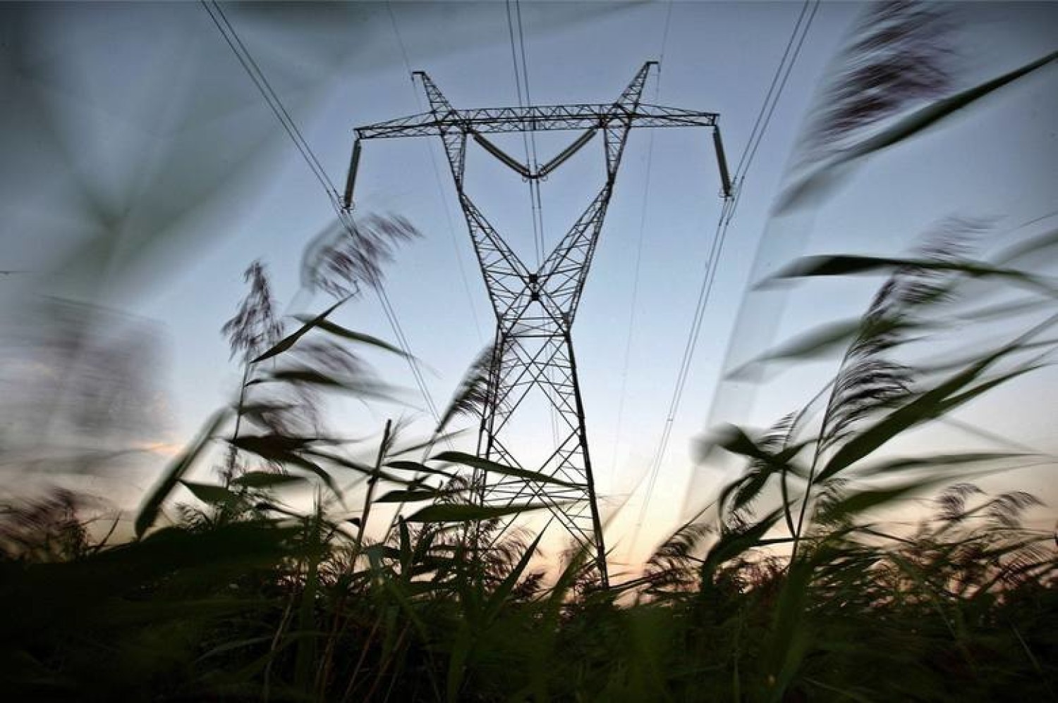 Energa Operator podał plan wyłączeń na najbliższe dni w regionie Toruń