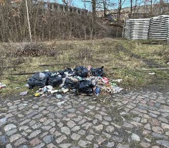 Dzikie wysypiska zmorą Szczecina. PKP posprząta tereny przy dworcu na Turzynie
