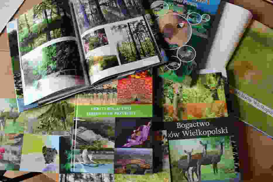 Tajemnice przyrody Wielkopolski to konkurs fotograficzny dla mieszkańców Wielkopolski
