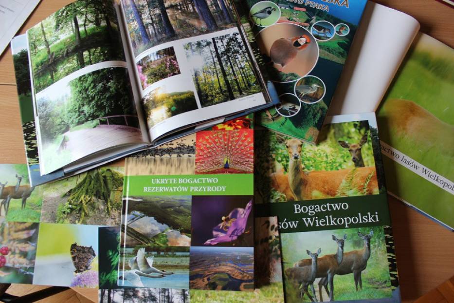 Tajemnice przyrody Wielkopolski to konkurs fotograficzny dla mieszkańców Wielkopolski
