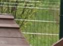 Wiedzieliście, że w Jedlinie-Zdroju mają ogrodzony psi wybieg? Można tam spokojnie odpiąć psa ze smyczy. Zobaczcie 