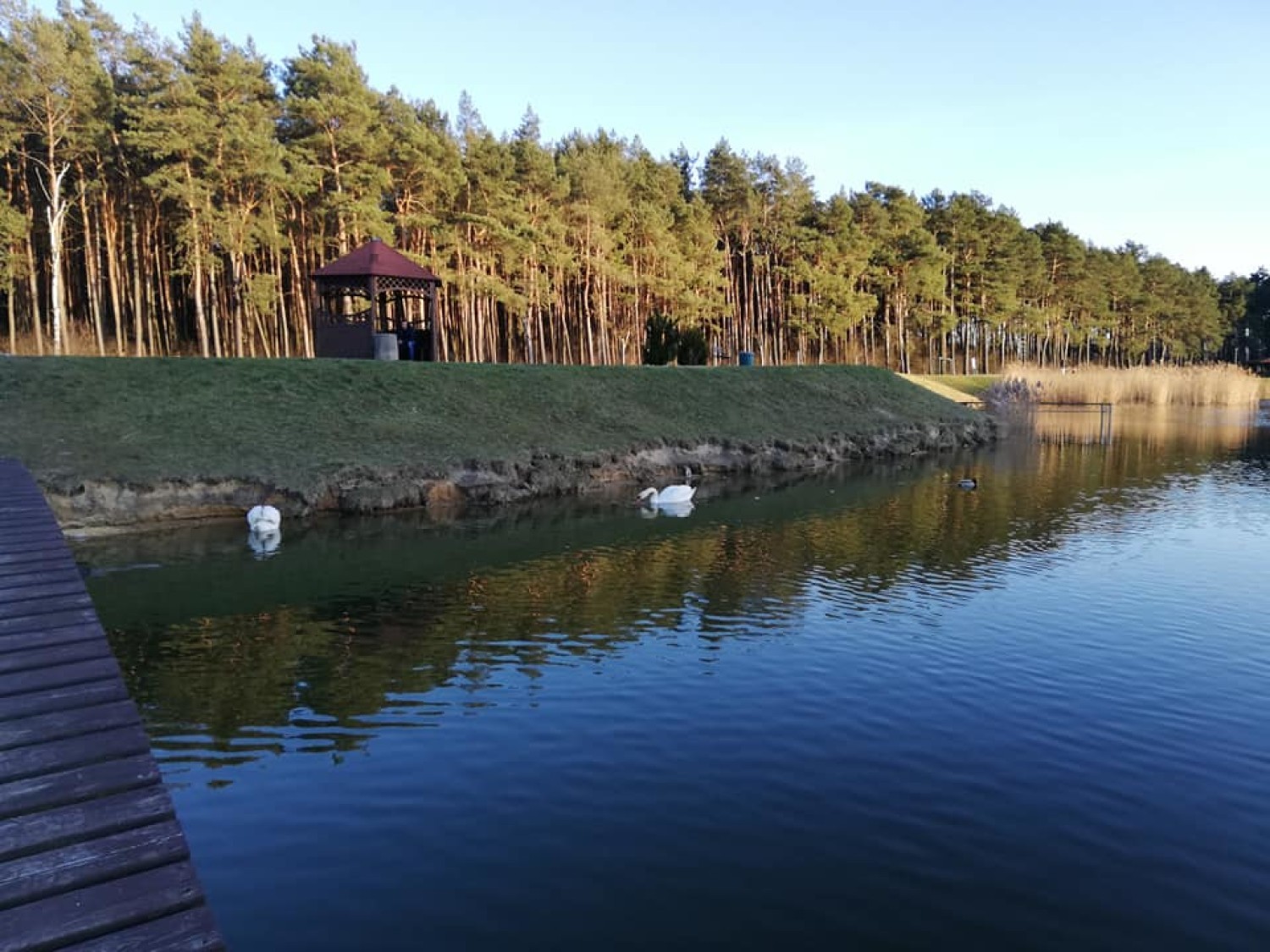 Podwieczorek na wyspie