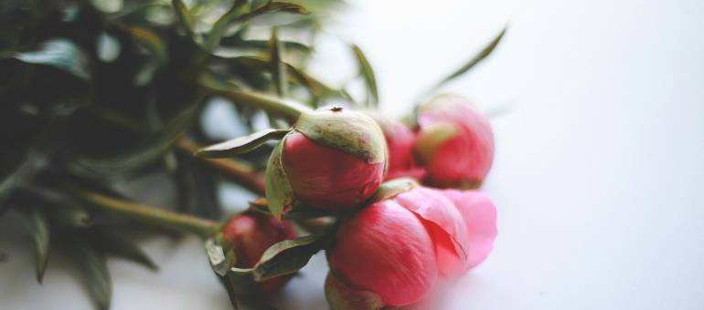 Zdjęcie artykułu z dnia 04-02-2026