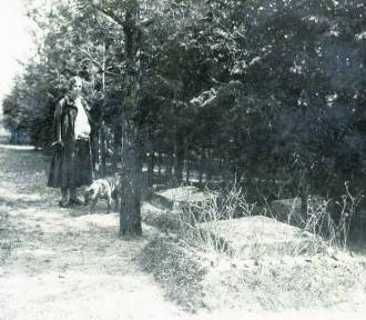 Psi cmentarz w Zwierzyńcu oraz domniemany pomnik psa królowej Marysieńki 