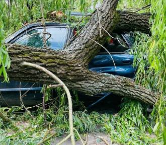 Uwaga na silny wiatr w Krakowie! W centrum połamane drzewa spadły na samochody