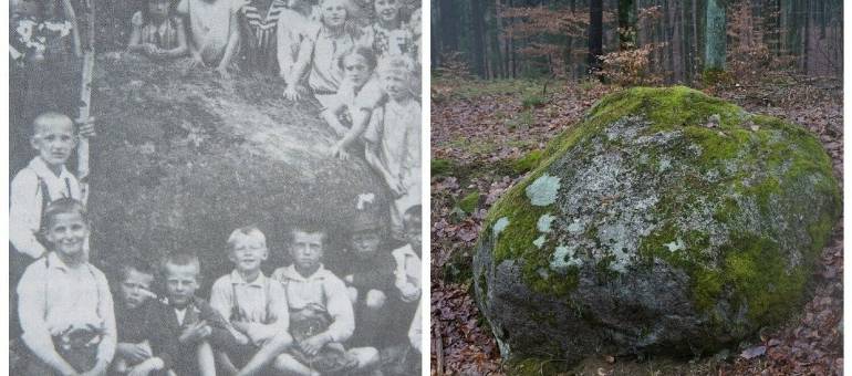 Zdjęcie artykułu z dnia 14-01-2026