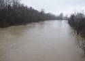 Wezbrana woda i stan ostrzegawczy w rzekach w Jaśle i okolicy. Czy możemy obawiać się kolejnej powodzi? [ZDJĘCIA]