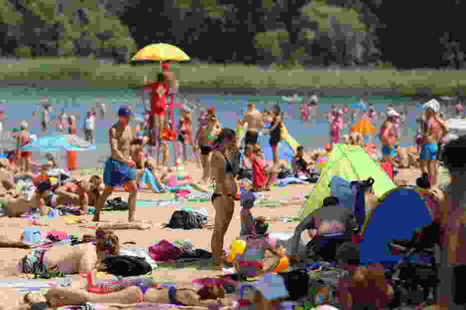 Jest wiele rodzajów plażowiczów