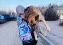 Ukrainiec ratował psa, niosąc go 15 km do Polski! Pomogą mu we Wrocławiu [ZOBACZ]
