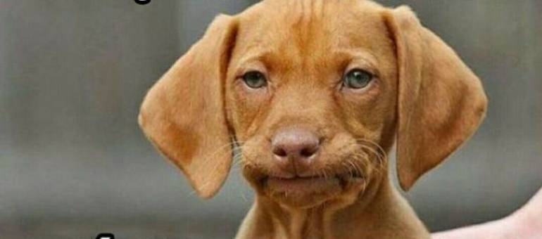 Zdjęcie artykułu z dnia 19-01-2026