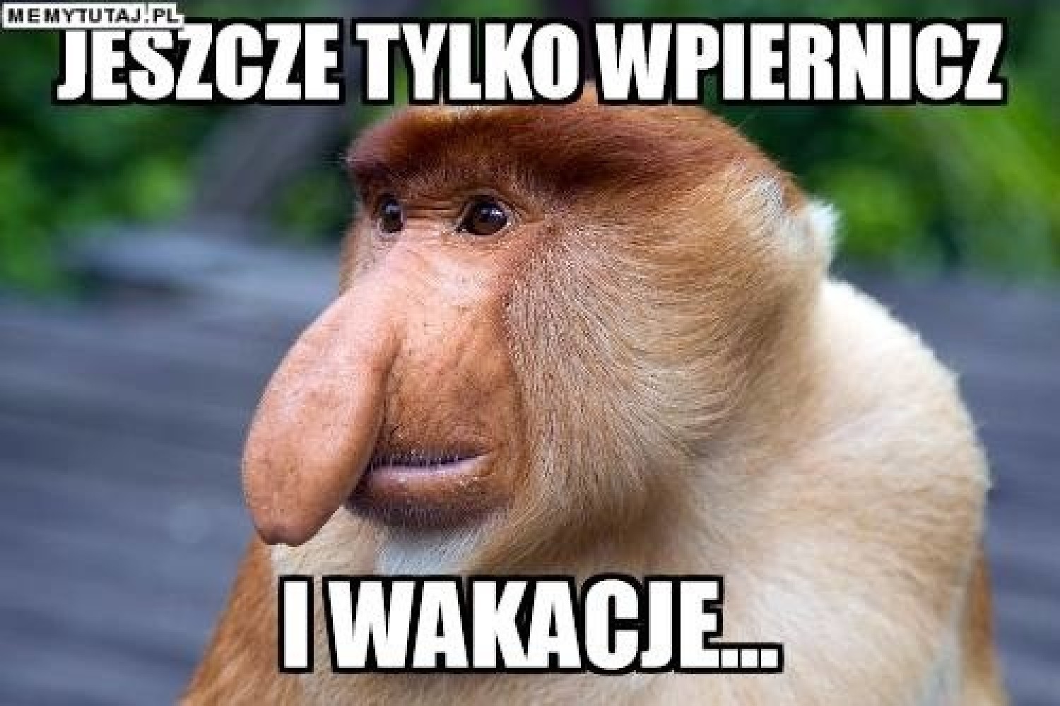W tym roku uczniowie kończą naukę dość nietypowo, bo w środę, ale cieszą się z tego tak samo jak co roku