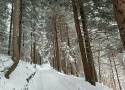 Wciąż trudne warunki w Beskidach. Miejscami leży nawet ponad 100 cm śniegu!