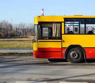 Stara Dąbrowa ze wsparciem na przewozy autobusowe. Łatwiejszy dojazd do Maszewa