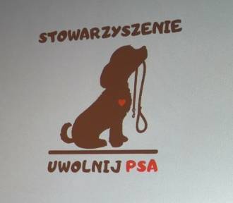 Olecko: Stowarzyszenie "Uwolnij Psa". Podsumowanie 2023 roku [ZDJĘCIA, WIDEO]