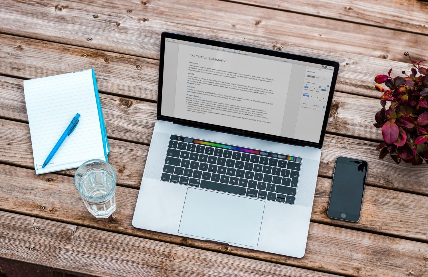 Canva i kreatory CV