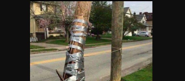 Zdjęcie artykułu z dnia 02-04-2026