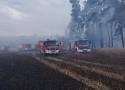 Płonęły hektary, gasiło blisko 30 jednostek straży. Wielki pożar, który wybuchł w gminie Pęczniew podsumowany przez PSP w Poddębicach FOTO