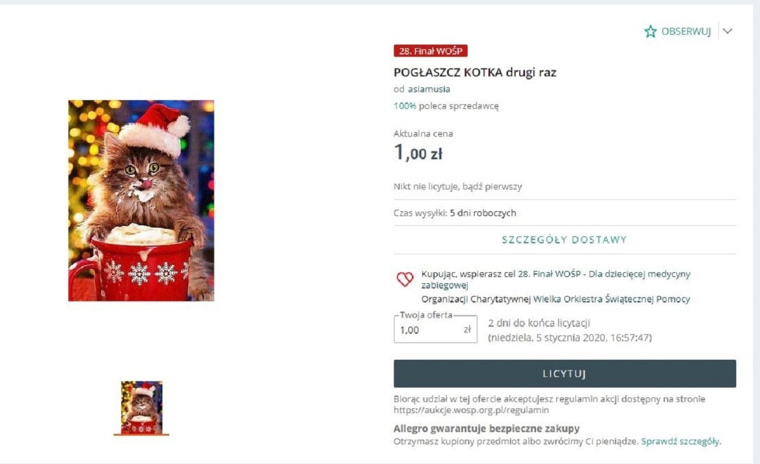 Pogłaszcz wirtualnego kotka i przekaż pieniądze na WOŚP