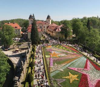 Miliony kwiatów, tłumy gości i podróż przez całą Europę - zobaczcie zdjęcia