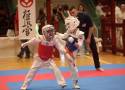 I Międzynarodowe Mistrzostwa Karate Kyokushin Legnica 2024, zobaczcie zdjęcia