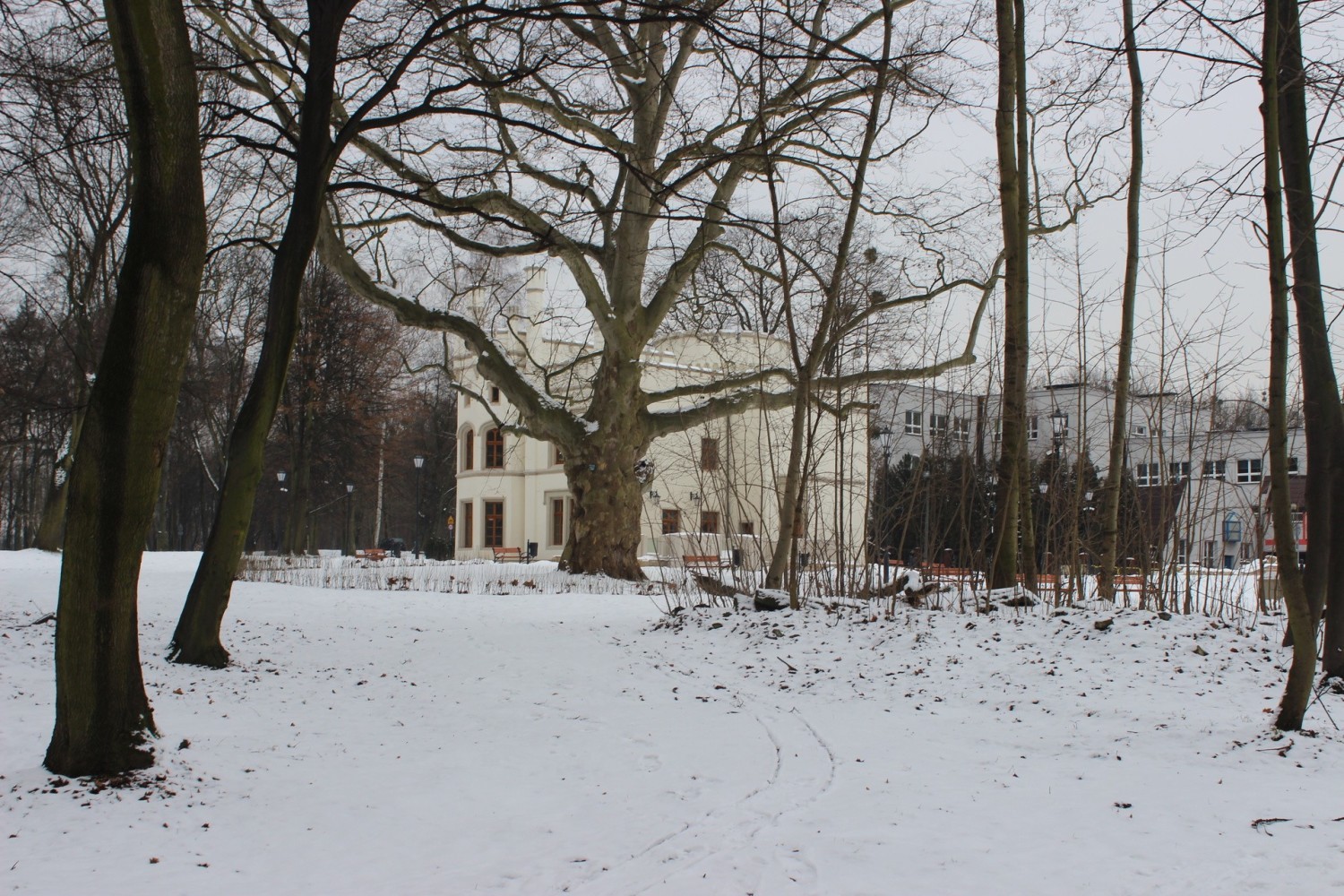 Zimową porą warto odwiedzić Miechowice, dzielnicę Bytomia