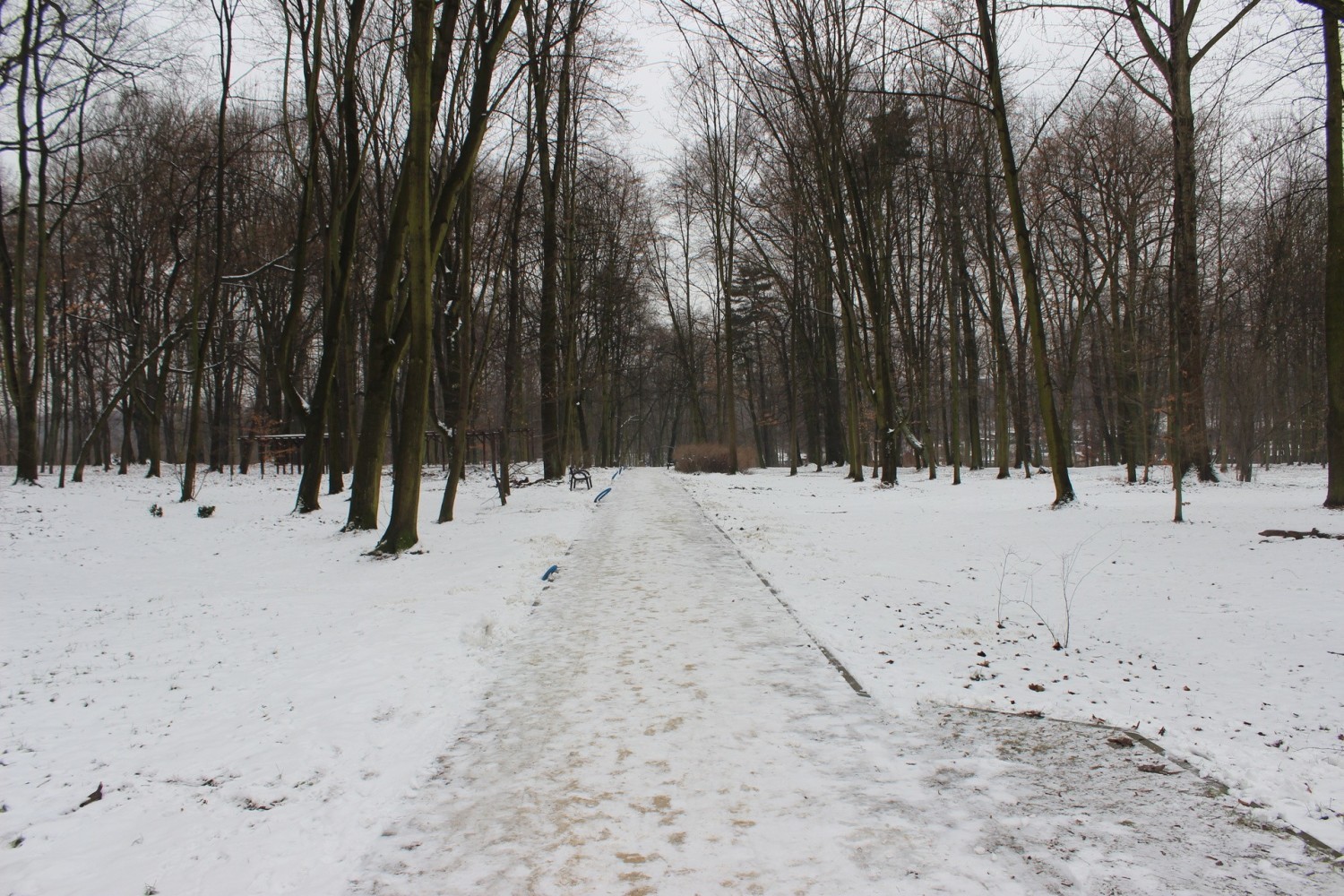 Zimową porą warto odwiedzić Miechowice, dzielnicę Bytomia