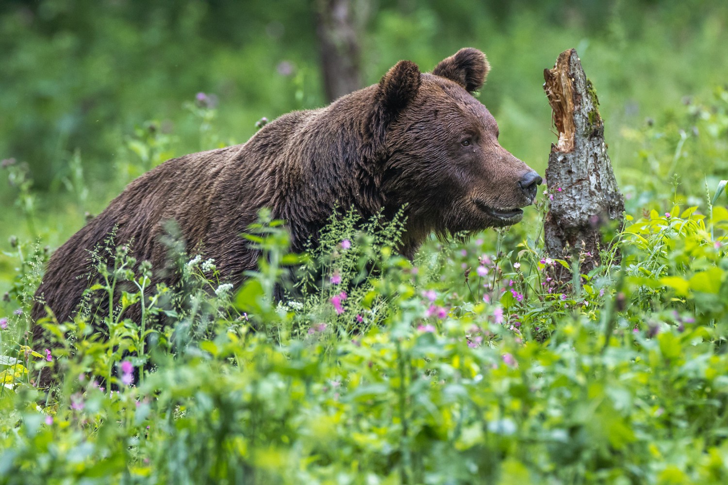Paweł Ziaja z Chmielnika koło Rzeszowa od lat pasjonuje się fotografią